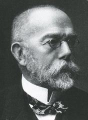 Koch Róbert